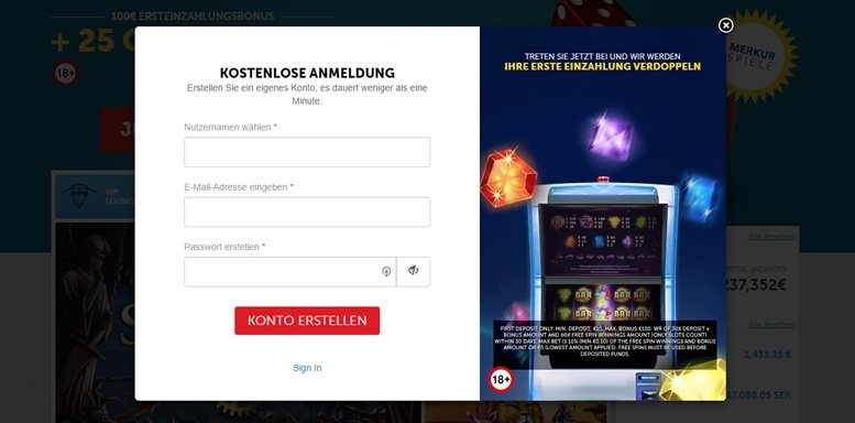 Anmeldungsformular von Playmillion